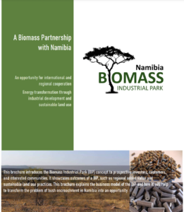 Biomass Industrial Park Road Map Brochure (NAD)